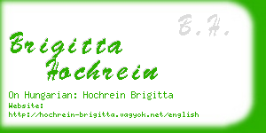 brigitta hochrein business card